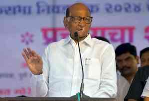 After losing voice at poll rally, Sharad Pawar recovering but advised to rest by docs