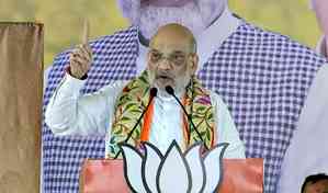 In Matua-dominated Ranaghat, Amit Shah slams Trinamool for opposing CAA