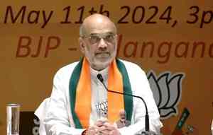 BJP will emerge single largest party in South India: Amit Shah