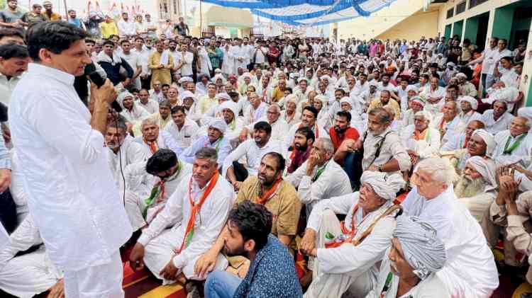 बहादुरगढ़ में चुनाव प्रचार के दौरान दीपेन्द्र हुड्डा बोले,  भाजपा नेताओं की बौखलाहट इस बात का सबूत है कि भाजपा जा रही है