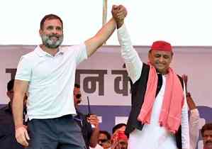 Rahul-Akhilesh rally in Raebareli, Amethi on May 17