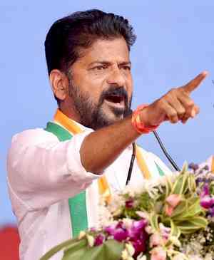 Congress will win 12-13 seats in Telangana: Revanth Reddy