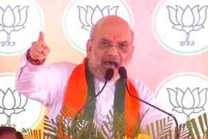 HM Amit Shah accuses CM Naveen Patnaik of 'insulting' Odia pride