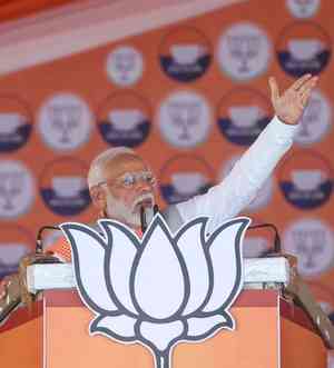 Vote for strong govt, vote for 'Viksit Bharat': PM Modi