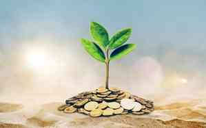 RBI hikes limit of bulk deposits for banks, FD investors to gain