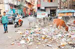 120 MT of waste cleared, Rs 1.05 lakh in fines collected in Vadodara during clean-up drive