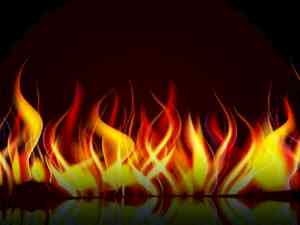Three dead, six injured in Delhi factory fire