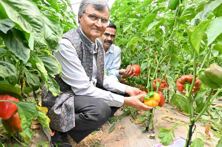 Work towards scientific validation of Natural farming data