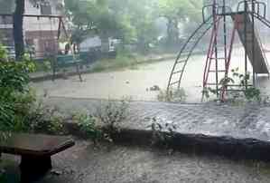 Heavy rain in Delhi-NCR brings relief from intense heat