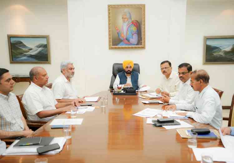 Plant atleast four trees around your tube wells: CM exhorts farmers