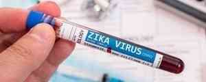 Maha govt urges citizens not to panic amid Zika virus cases in state