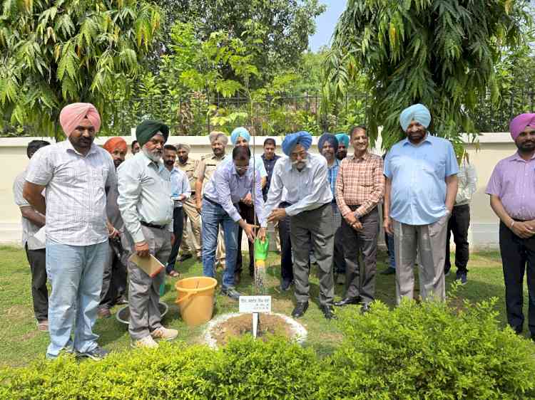 PSPCL CMD plants saplings: Appeals for planting maximum trees for ensuring ecological balance 