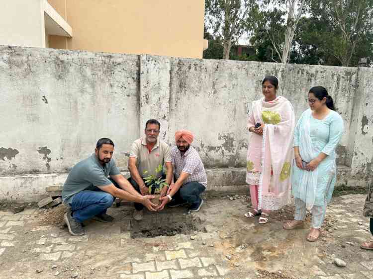 PSPCL Chief Engineer P&M Er. Punardeep Singh Brar organises Van Utsav and Massive Tree Planting Campaign