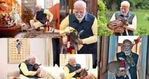 PM Modi has a new member at his residence, Deepjyoti