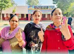 Punjab's high-stake Gidderbaha seat sees highest voter turnout of 79 pc