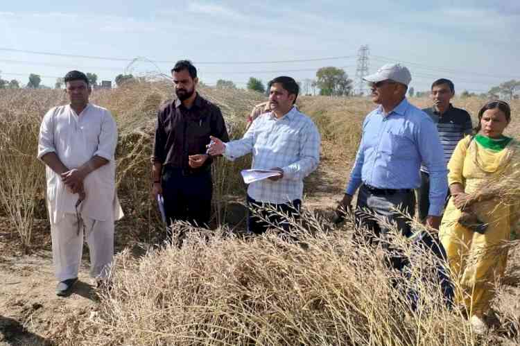 फसल कटाई प्रयोग के आधार पर तय होगी प्रत्येक गांव की औसत पैदावारः एडीसी नरेंद्र कुमार
