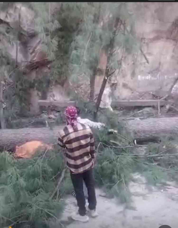 Landslide Near Manikaran Gurudwara: Six Dead, Several Feared Trapped