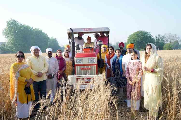 MP Arora thanked the Almighty for the bountiful crop while sitting on a tractor