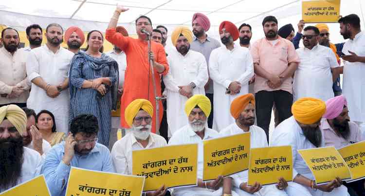AAP's 'Halla Bol' Against Partap Bajwa! Thousands of AAP Volunteers Protest Against Congress Leader