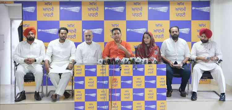 AAP's Another Major Initiative Against Drugs, 'Nasha Mukti Morcha' Launched, Divided Punjab in Five Zones