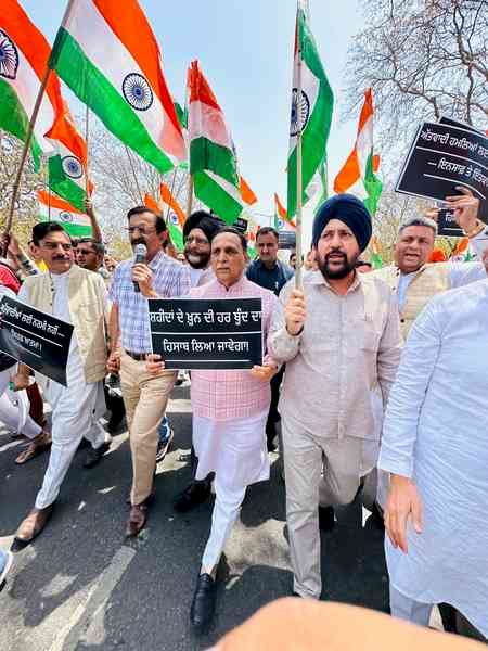 Assault on Kashmir's development: Punjab BJP in-charge Vijay Rupani on Pahalgam terror attack