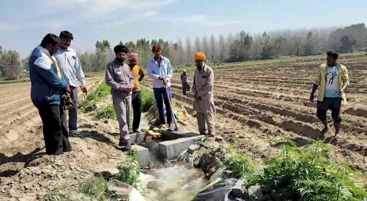 After 40 years, canal water returns to Punjab fields under Mann Govt’s landmark initiative