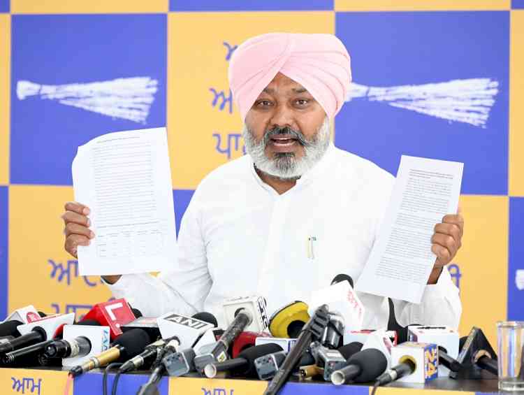 'AAP' Condemns BJP’s Decoity on Punjab's Water, Calls it a Conspiracy Against Punjab’s Farmers