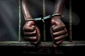 Seven B'deshi nationals residing in India with fake documents arrested