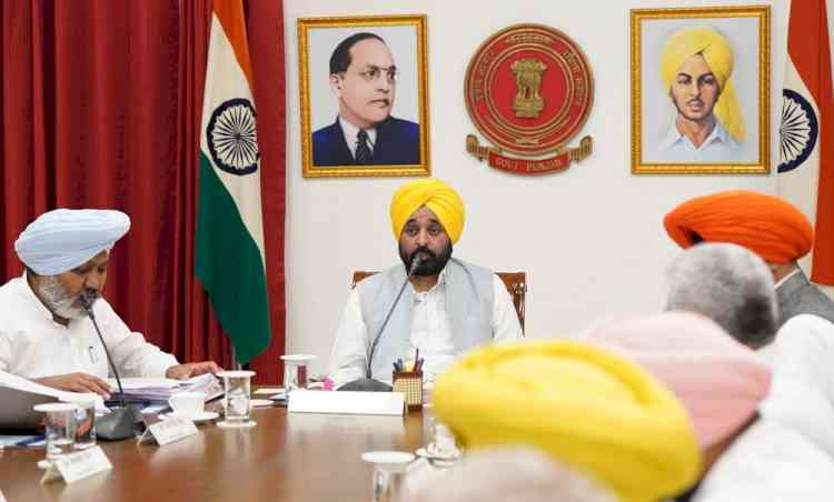 Mann Government Strikes Hard at Pakistan led Terror Funding: Cabinet approves Anti-Drone Systems installation