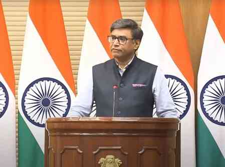 India and Pakistan to stop all firing and military action: MEA  