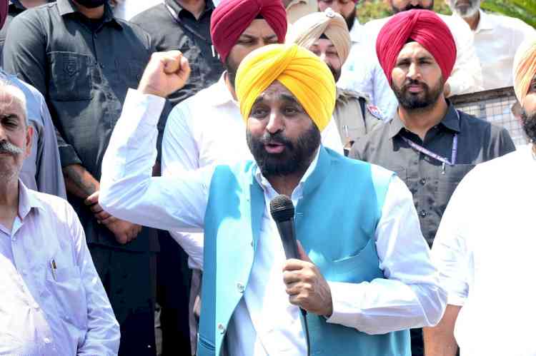 CM Mann Vows to Block BJP’s sinister plan to steal Punjab’s Waters