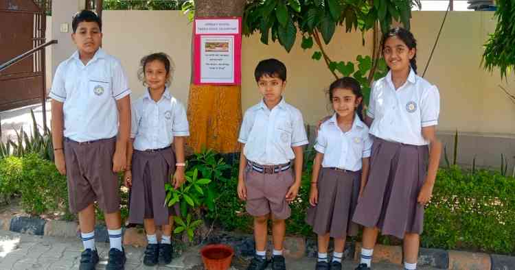 Bird Bath Donation Activity at Apeejay School