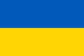 Ukrainians reveal secret of 'massive' strike on Russian aviation assets