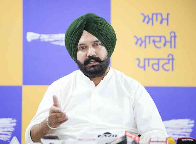 Land Pooling Scheme: Game-Changer for Farmers, Biggest Blow to Land Mafia in Punjab: AAP Kisan Wing President