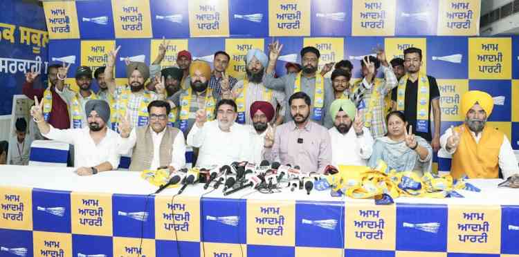 Over 20 AAP Volunteers Rejoin Party in Ludhiana West