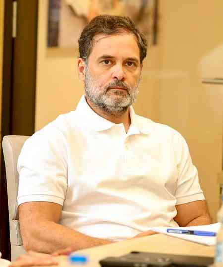 'No celebration is worth a human life': Rahul terms Bengaluru stampede tragedy heartbreaking