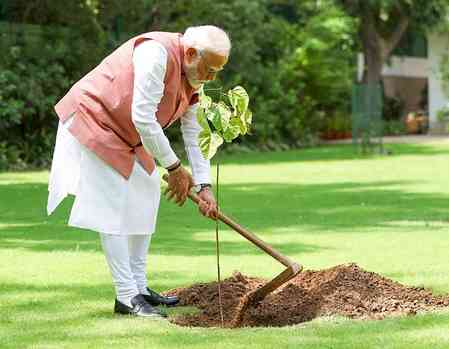 PM Modi launches ‘Aravali Green Wall’ project by planting sapling under Ek Ped Maa Ke Naam initiative 