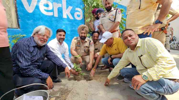 SSP leads tree plantation drive at Press Club Ferozepur on World Environment Day