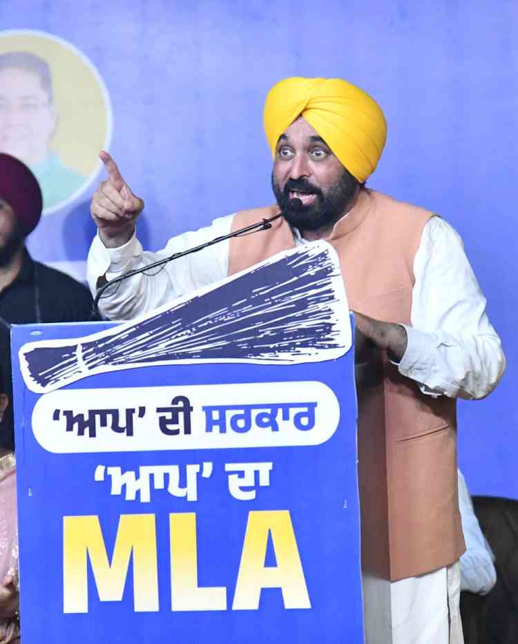 CM Mann in Ludhiana West: It's a Clear Choice Between Pyaar and Hankaar