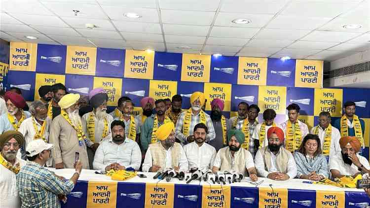 ‘AAP’ Gets Stronger in Ludhiana West, Dozens of Families Leave Congress to Join the Party