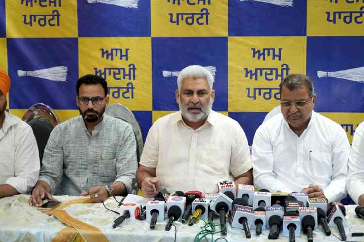 BJP Punjab's Model is Selling Punjab's Pride at the Feet of
