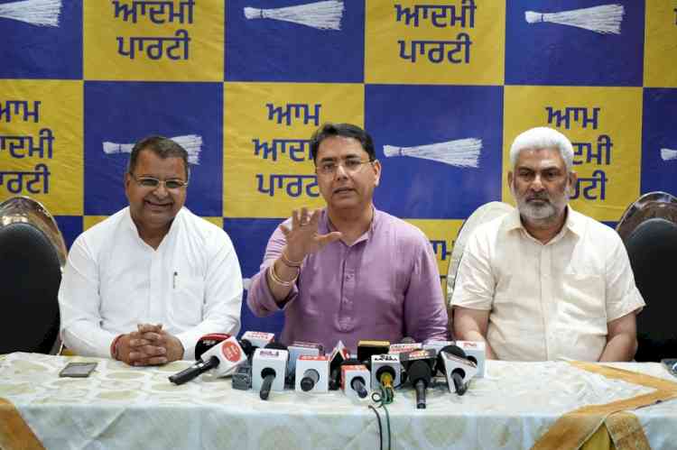 Aman Arora Accepts Sunil Jakhar's Challenge: I'll Lead by Example, I'm Ready for Dope Test and Property Disclose, Set Date, Time and Place