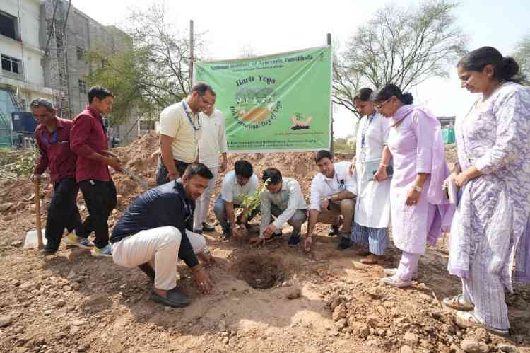 National Institute of Ayurveda, Panchkula to Organize Multiple Activities to Promote Yoga and Health