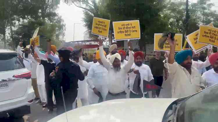 Haryana CM Nayab Saini Showed Black Flags in Ludhiana: People Confronts Him Over Punjab's Water Issue