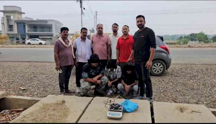 Three Arrested with 538 Grams of Hashish in Nurpur under Anti-Drug Drive