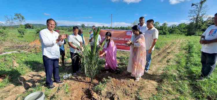 3F Oil Palm Drives Mega Plantation Initiative in Dima Hasao, Assam under NMEO-OP