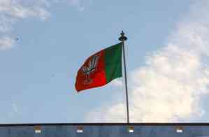 BJP's primary membership crosses 14-crore mark