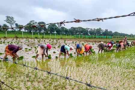 Centre trashes media reports on water charges for farmers under MCAD Scheme