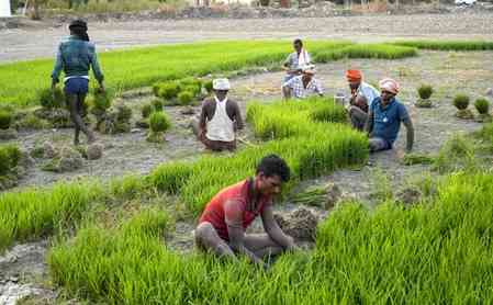 Inflation to average 3.2 pc in FY26, to boost mass consumption: Report