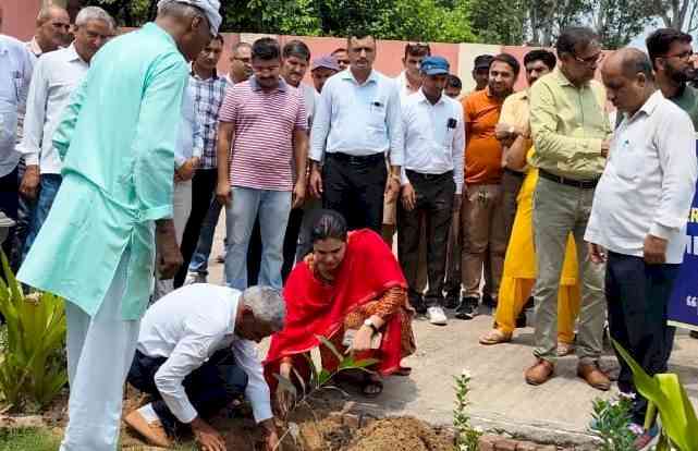 चीनी मिल परिसर में लगाए छायादार व फलदार पौधे